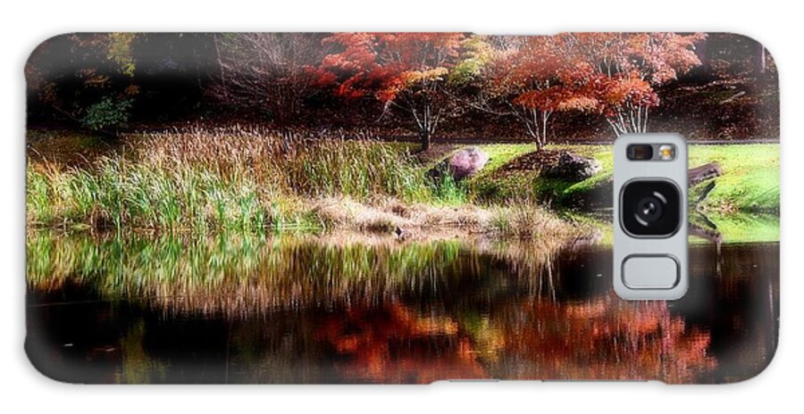 Water Galaxy Case featuring the photograph Autumn reflections by Lynn Hunt