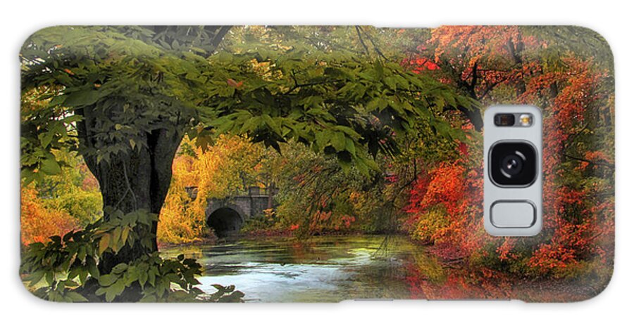 Autumn Galaxy Case featuring the photograph Autumn Reverie by Jessica Jenney
