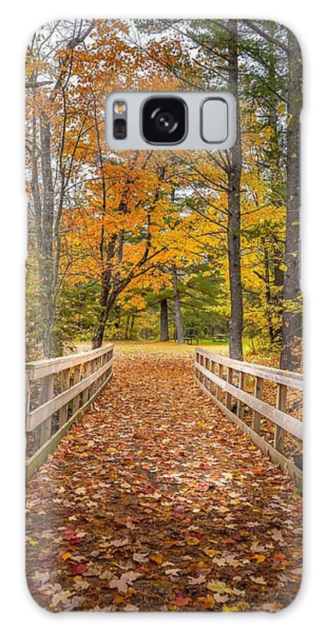 Wood Bridge Galaxy Case featuring the photograph Autumn Splendor at Jay Cooke by Susan Rydberg