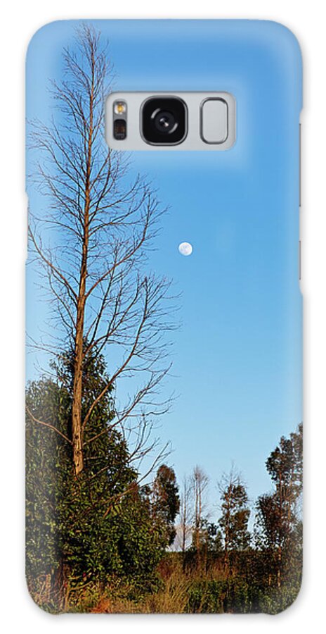 Full Moon Galaxy Case featuring the photograph Autumn Tree and Moon by Angelo DeVal