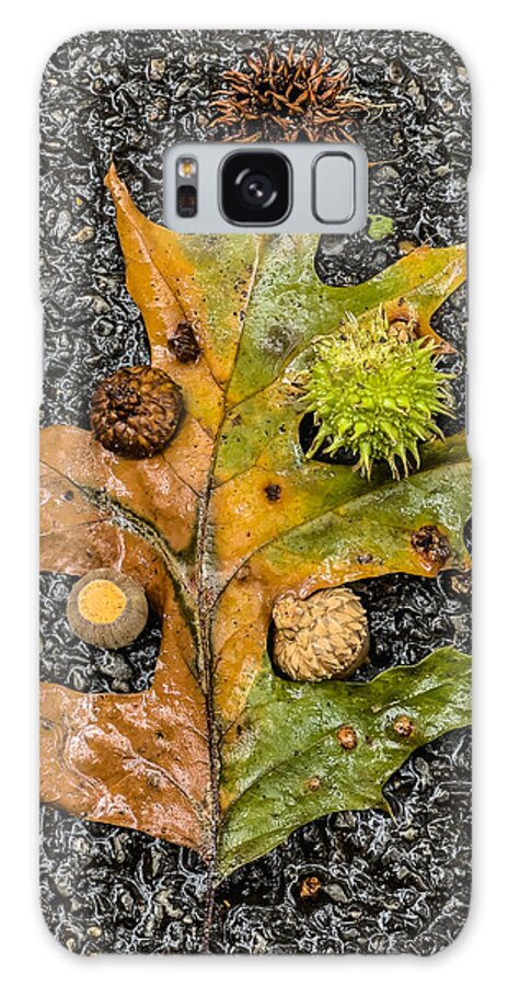 Oak Leaf Galaxy Case featuring the photograph Autumn Tree by Cate Franklyn