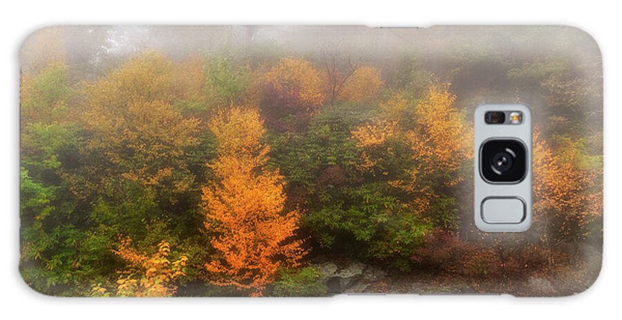 Fall Galaxy Case featuring the photograph Autumn Trees in Foggy Cliffs by Dan Carmichael