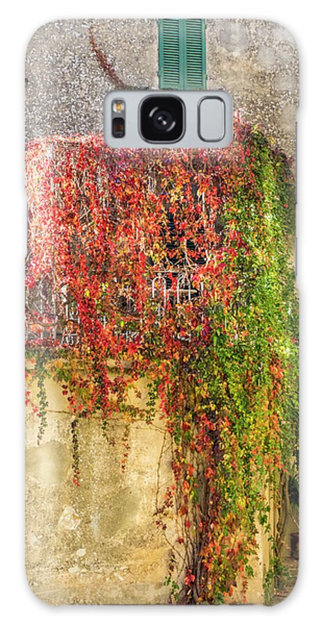 Autumn Galaxy Case featuring the photograph Autumn Vines by Eggers Photography