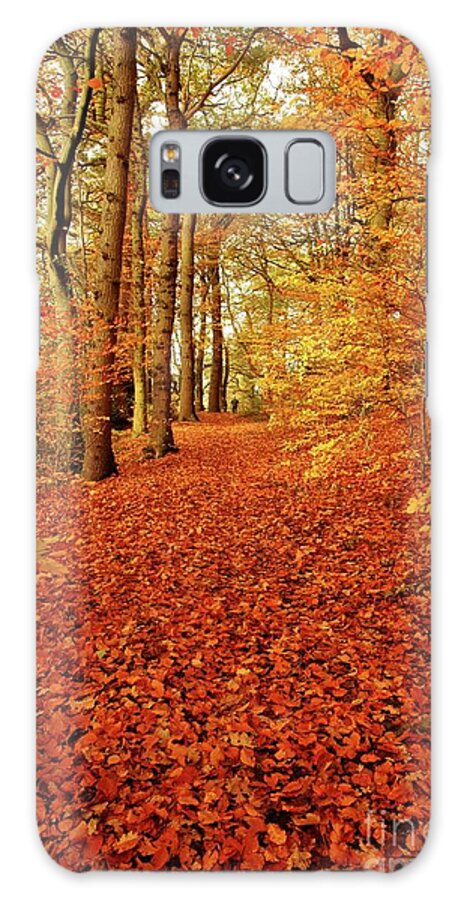 Autumn Galaxy Case featuring the photograph Autumn woodland in Derbyshire by David Birchall