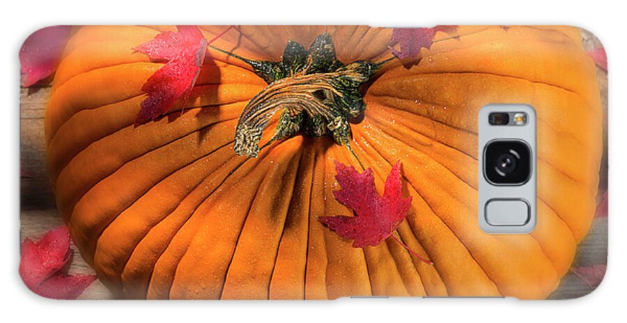 Pumpkin Galaxy Case featuring the photograph Early Morning Autumn Light by John Rogers