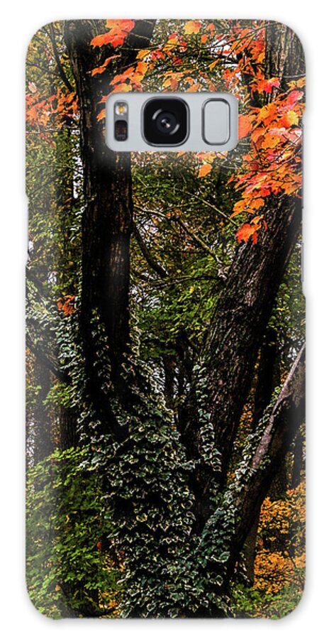 Fall Galaxy Case featuring the photograph Autumn's Beauty Wrapped in Mystery by Ola Allen