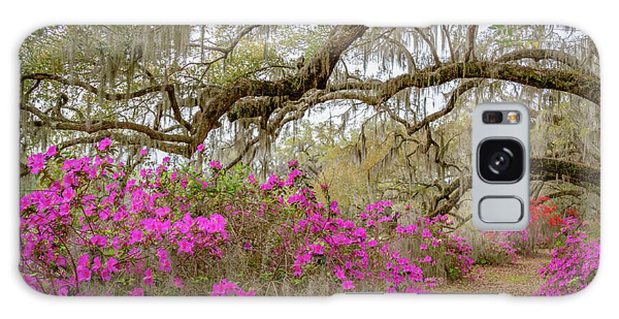 Flowers Galaxy Case featuring the photograph Avenue of Oaks in Spring by Cindy Robinson
