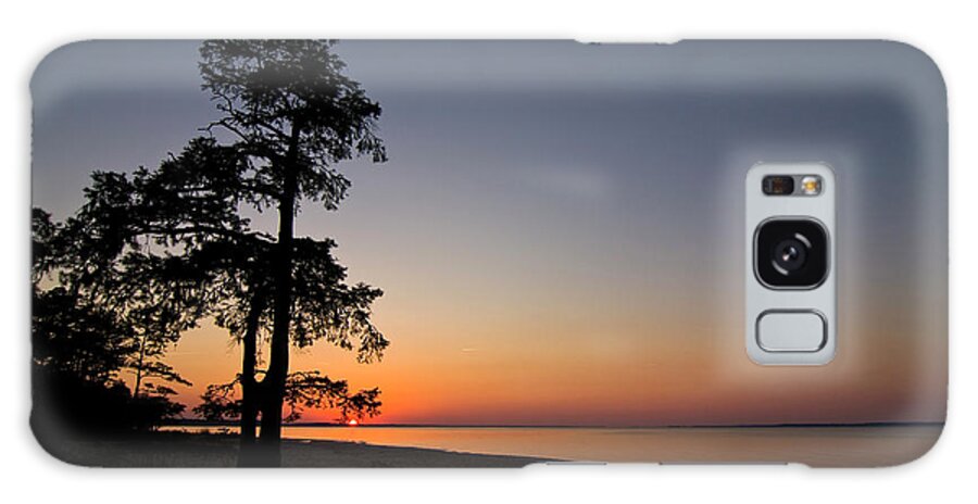 Bald Cypress Galaxy Case featuring the photograph Bald Cypress Sunset at Pine Cliff Recreation Area by Bob Decker