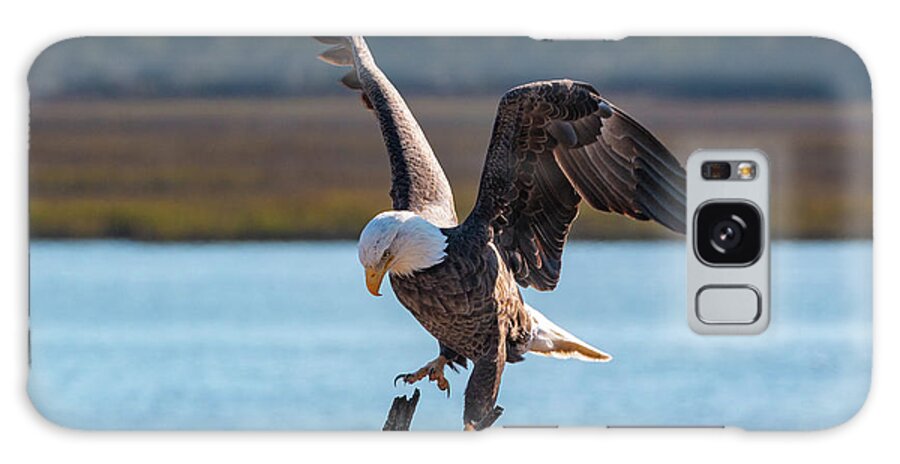 Bald Eagle Galaxy Case featuring the photograph Bald Eagle Landing by D K Wall