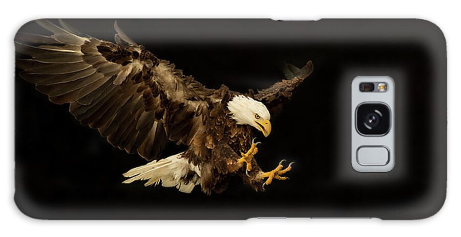 Accipitridae Galaxy Case featuring the photograph Bald Eagle On Black by CR Courson
