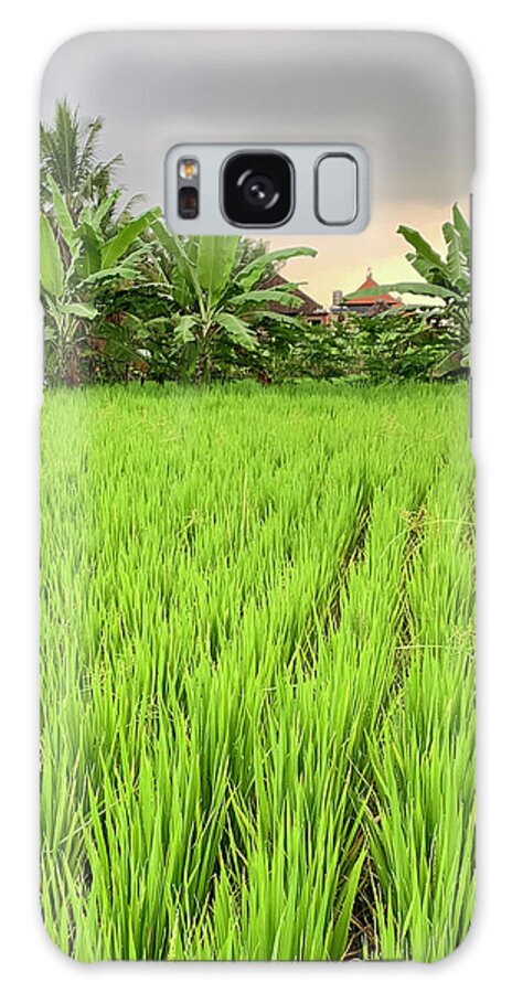 Bali Galaxy Case featuring the photograph Bali Fields by Wendy Golden
