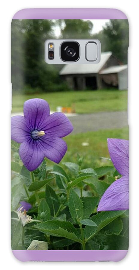 Balloon Flower Galaxy Case featuring the photograph Balloon Flowers and Barn by Vicki Noble