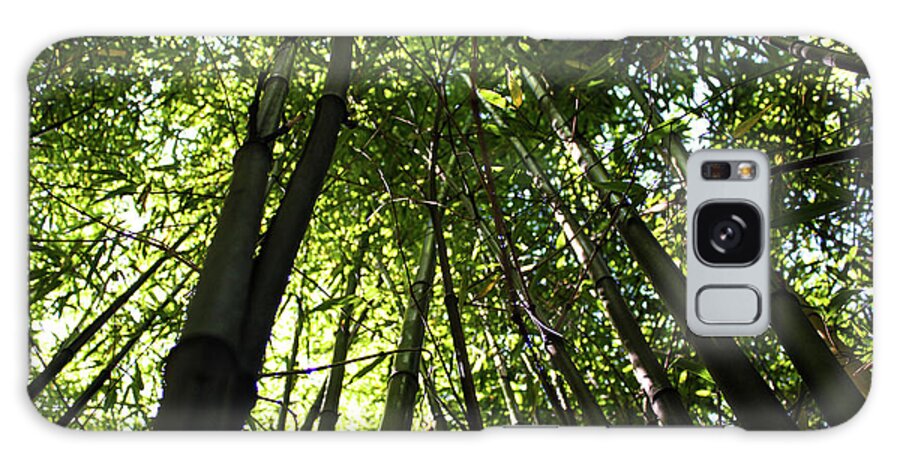 Vancouver Galaxy Case featuring the photograph Bamboo by Wilko van de Kamp Fine Photo Art