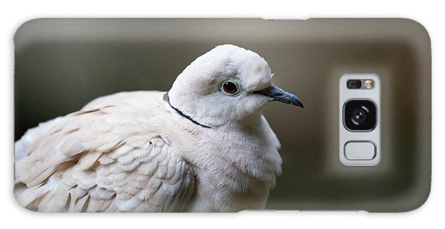 Barbary Dove Galaxy Case featuring the photograph Barbary Dove Portrait by Eva Lechner