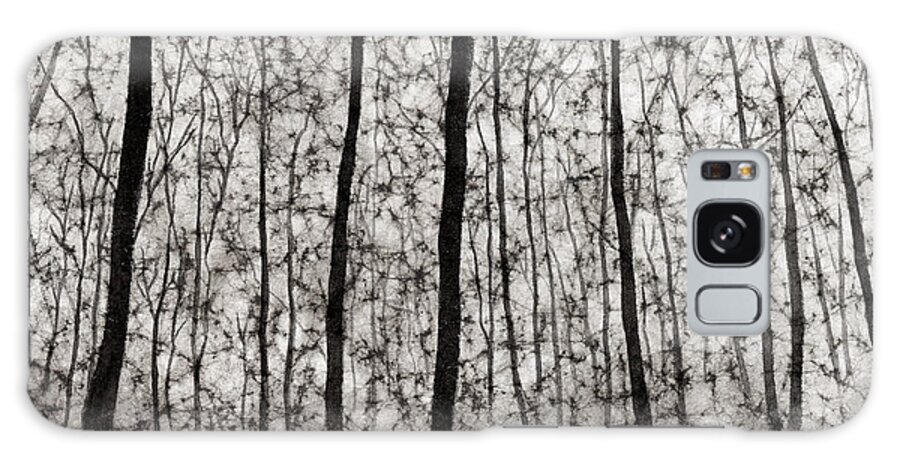 Black And White Galaxy Case featuring the painting Bare Forest by Hailey E Herrera