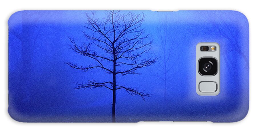 Blue Galaxy Case featuring the photograph Bare Tree on a Foggy Morning by David Morehead