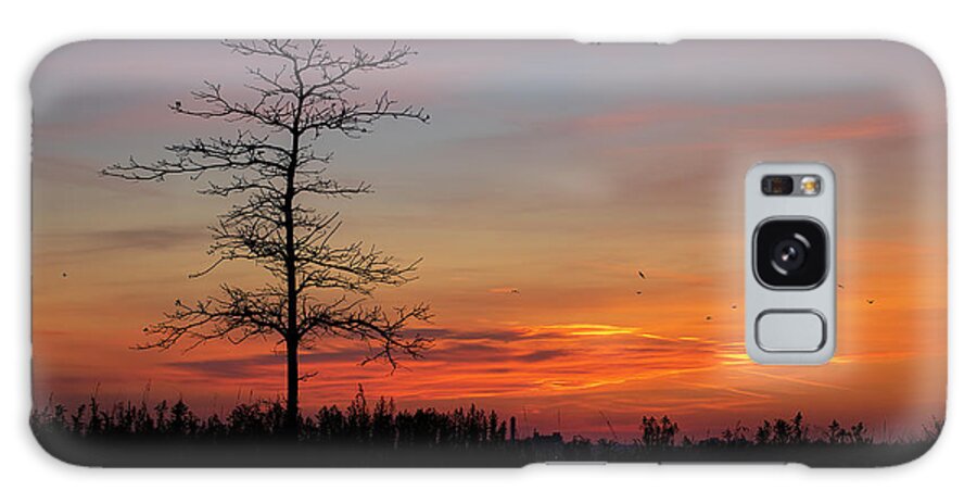 Sam Smith Park Galaxy Case featuring the photograph Bare Tree Sillhouette against Sunset Sky by John Twynam