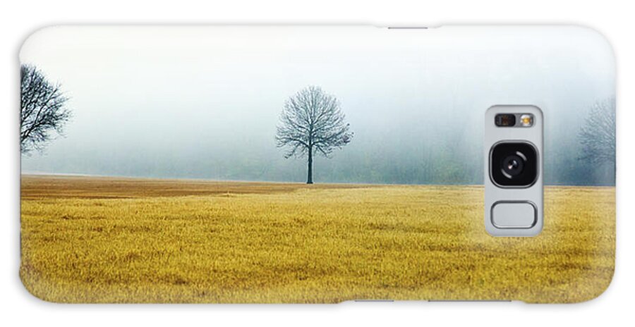 Winter Galaxy Case featuring the photograph Bare Trees on Golden Grass by WAZgriffin Digital