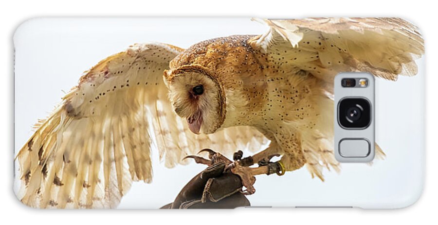 Bird Galaxy Case featuring the photograph Barn Owl-1 by John Kirkland