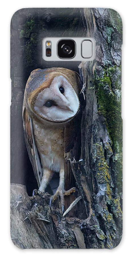 Owl Galaxy Case featuring the photograph Barn Owl by Angie Vogel