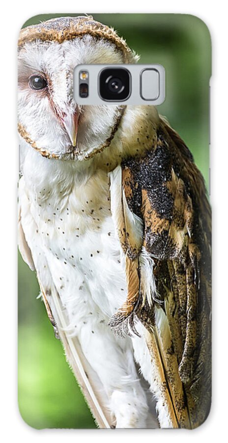 Raptors Owl Barn Owl Galaxy Case featuring the photograph Barn owl by Robert Miller