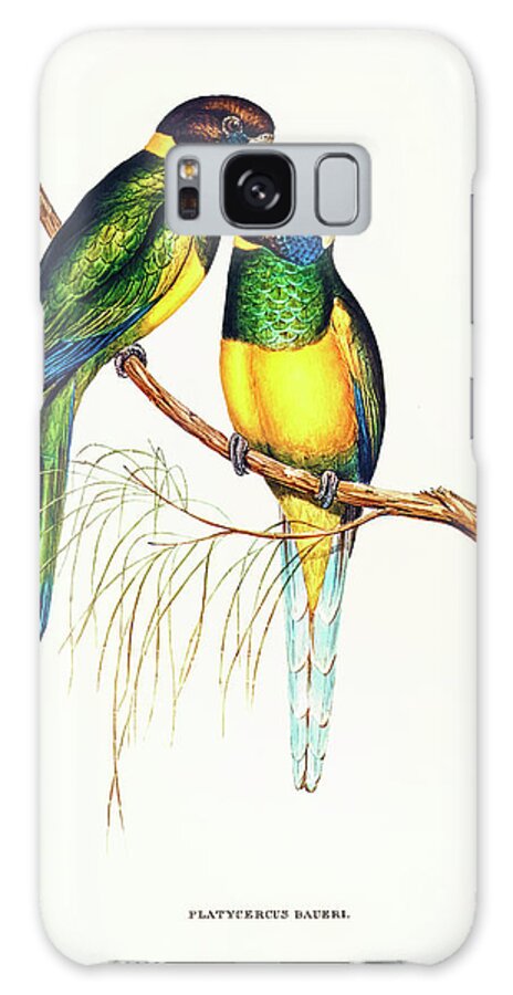 Illustration Galaxy Case featuring the drawing Bauer's Parakeet by Elizabeth Gould