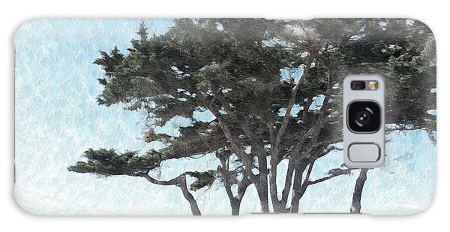 Beach Galaxy Case featuring the photograph Beach Pine by Katherine Erickson