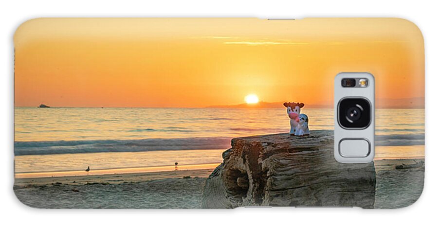 Sunset Galaxy Case featuring the photograph Beach Sunset with Cows by Lindsay Thomson