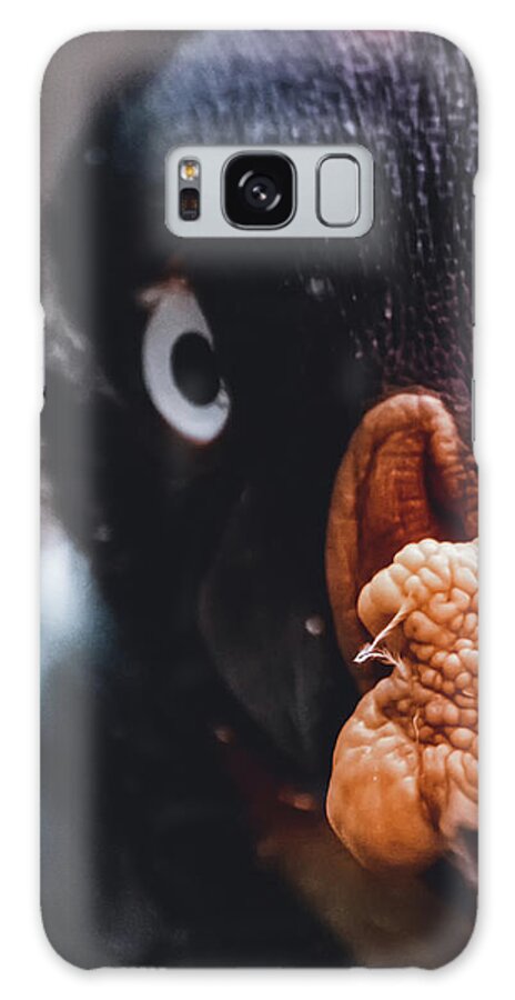 Bird Galaxy Case featuring the photograph Beady eye by Martin Newman