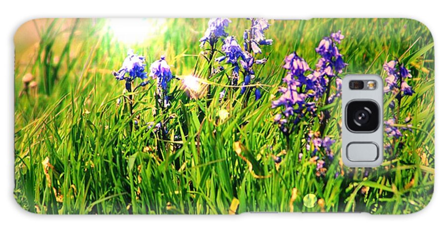 Bluebells Galaxy Case featuring the photograph Beams On Bluebells by Kimberly Furey