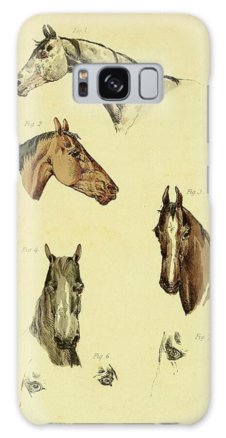 Henry Thomas Alken Galaxy Case featuring the drawing Beauties and Defects in the Horse 1816, Head-shots 1 by Henry Thomas Alken