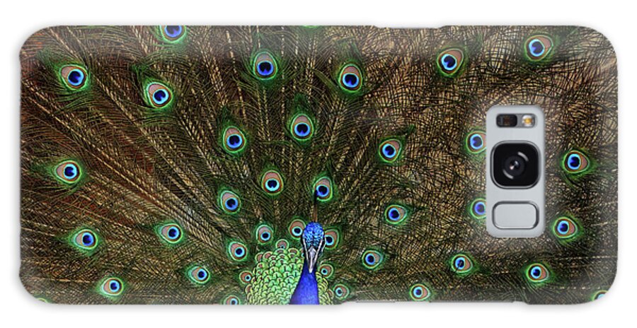 Peacock Galaxy Case featuring the photograph Beautiful Peacock by Larry Marshall