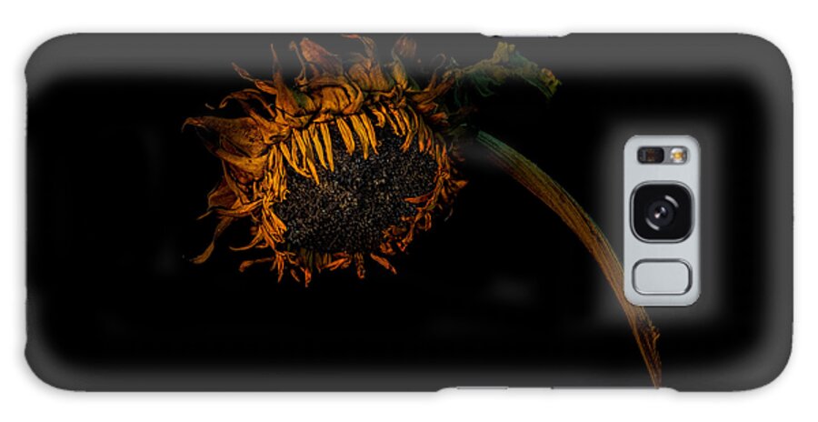 Wilting Flower Galaxy Case featuring the photograph Beauty in decay by Alessandra RC