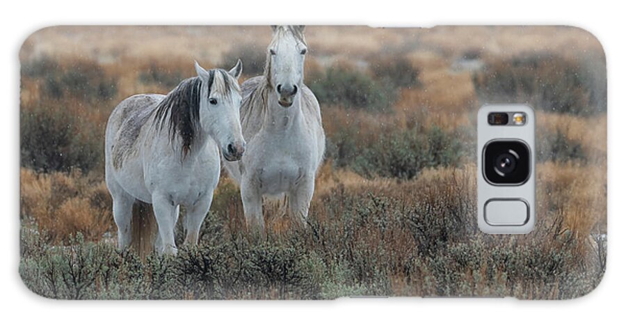 Wild Horses Galaxy Case featuring the photograph Beauty in the Sage by Mary Hone