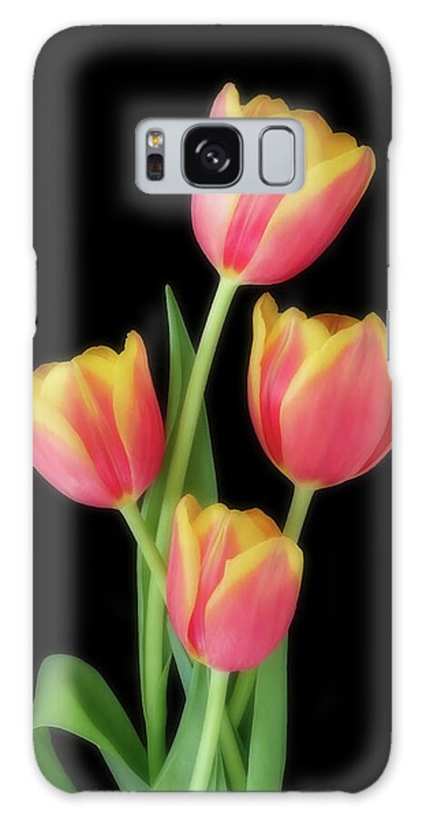 Tulips Galaxy Case featuring the photograph Beauty Of Four by Johanna Hurmerinta