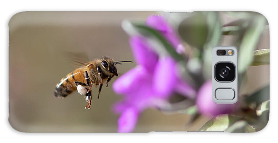 Bee Galaxy Case featuring the photograph Bee and Flower by Ron Woodbury