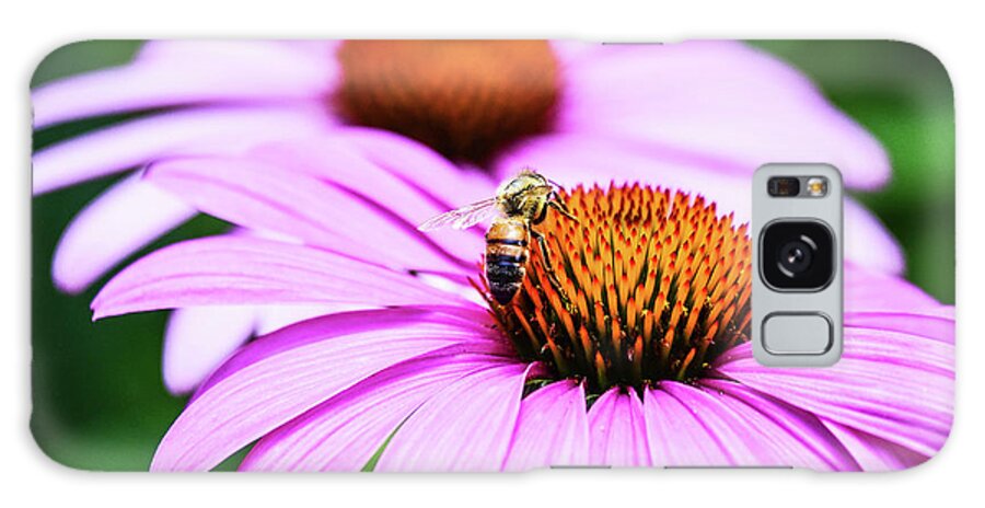 Bee Bumblebee Flower Center Pollen Dropseed Flowers Pink Purple Orange Middle Pedals Atlanta Botanical Gardens Garden Nectar Wings Wing Galaxy Case featuring the photograph Bee and two dropseeds by Ed Stokes