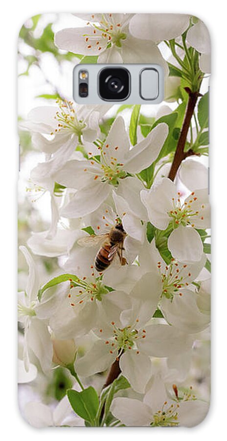 Pennsylvania Galaxy Case featuring the photograph Bee Happy for Spring Blossoms by Holly April Harris