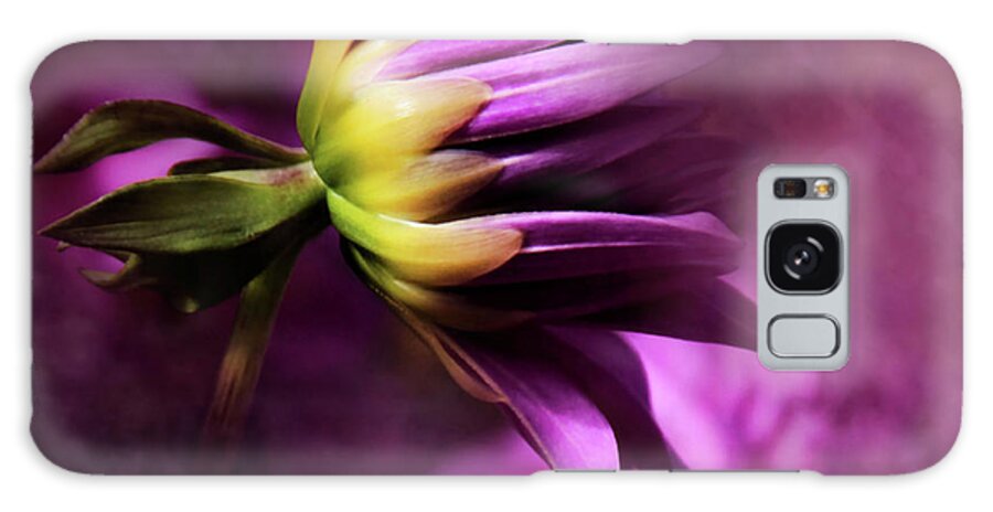 Flower Photography Galaxy Case featuring the photograph Beginnings by Sally Bauer