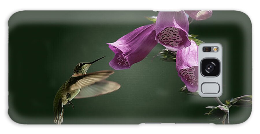 Bellflower Galaxy Case featuring the photograph Bellflower Hummingbird by Ed Taylor