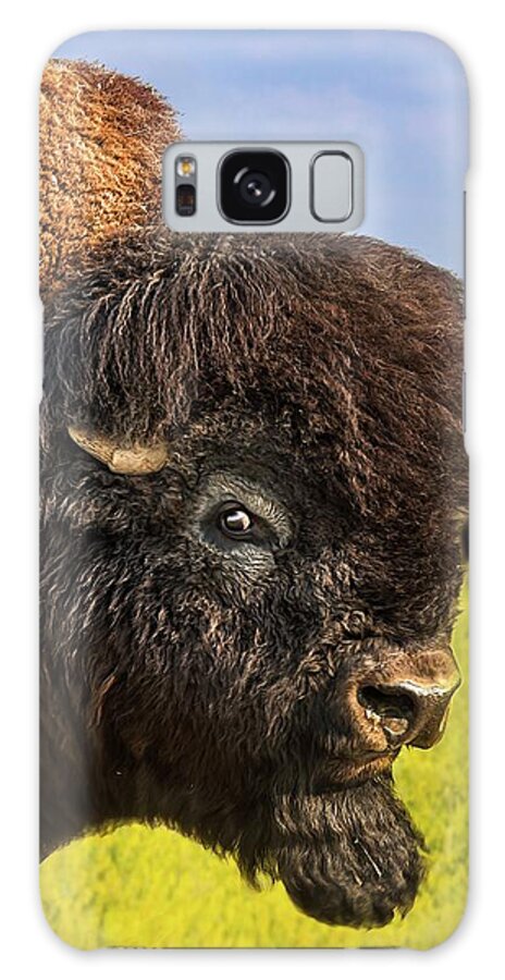 Canada Galaxy Case featuring the photograph Belligerent Bison by Tracy Munson