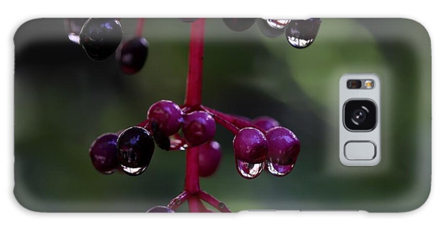 Rose Grape Galaxy Case featuring the photograph Rose Grape 2 by Mingming Jiang