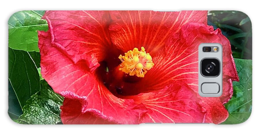 Hibiscus Galaxy Case featuring the photograph Big Red 1 by J Hale Turner