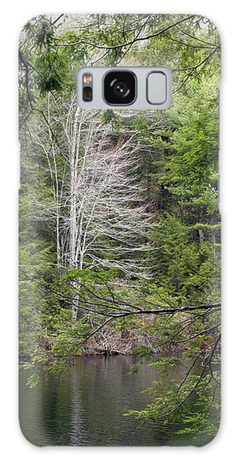 New England Galaxy Case featuring the photograph Bigelow Hollow State Park, Union CT by Thomas Henthorn