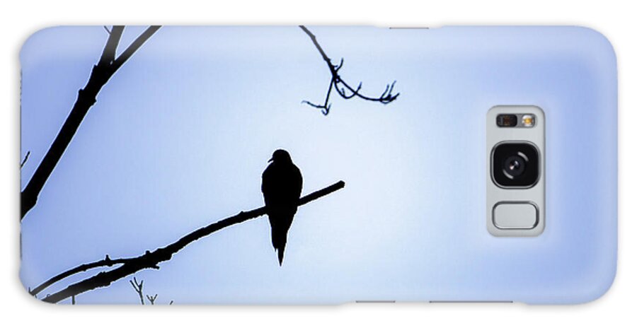 Bird Galaxy Case featuring the photograph Mourning Dove Silhouette - Blue Skies by Jason Fink