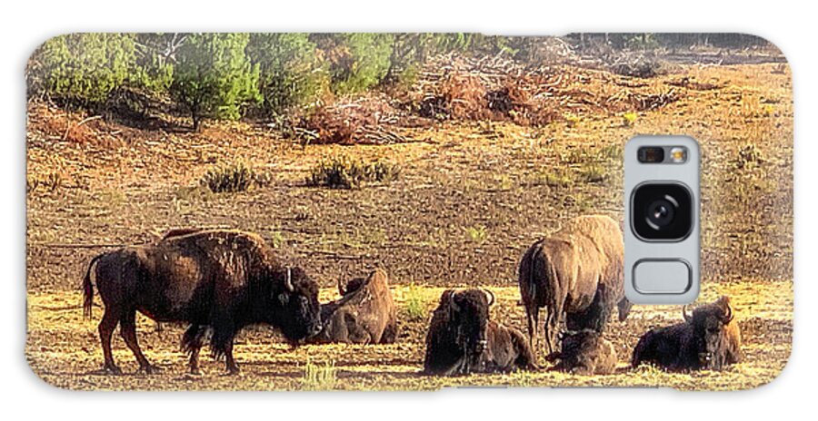 Photograph Galaxy Case featuring the photograph Bison Family at Sunset Near Zion by John A Rodriguez