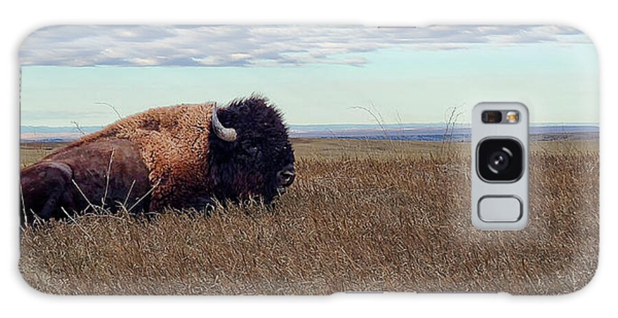 Badlands Galaxy Case featuring the photograph Bison on the Prairie by Double AA Photography
