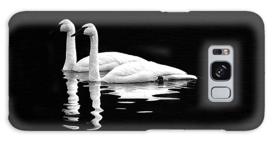 Swan Galaxy Case featuring the photograph Black and White Beauty by Jerry Cahill