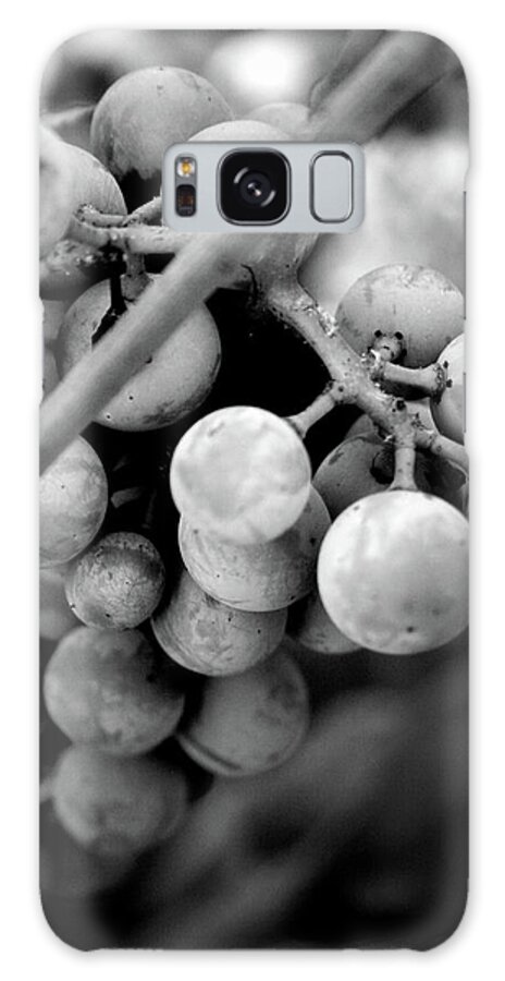 Grapes Galaxy Case featuring the photograph Black and White Grapes by Sally Bauer