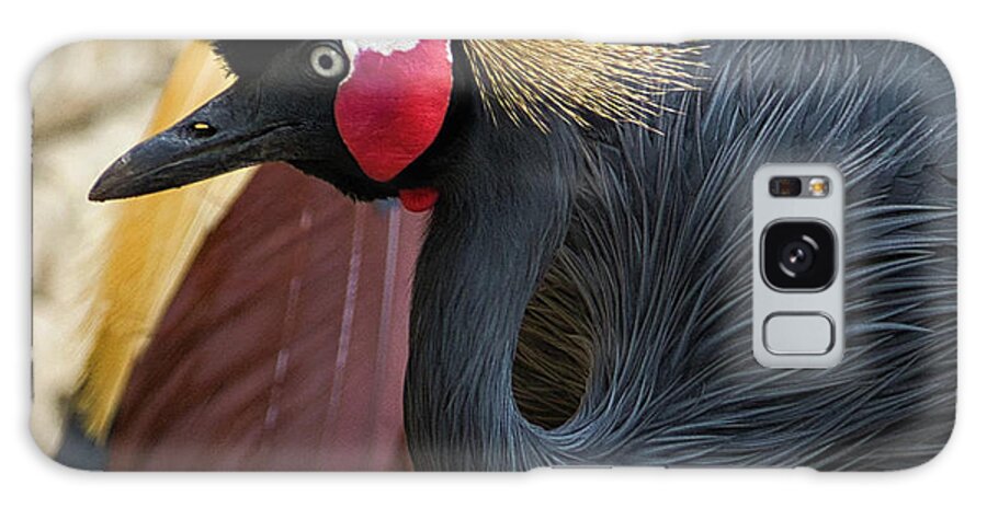 Black Galaxy Case featuring the photograph African Black Crown Crane by Rene Vasquez